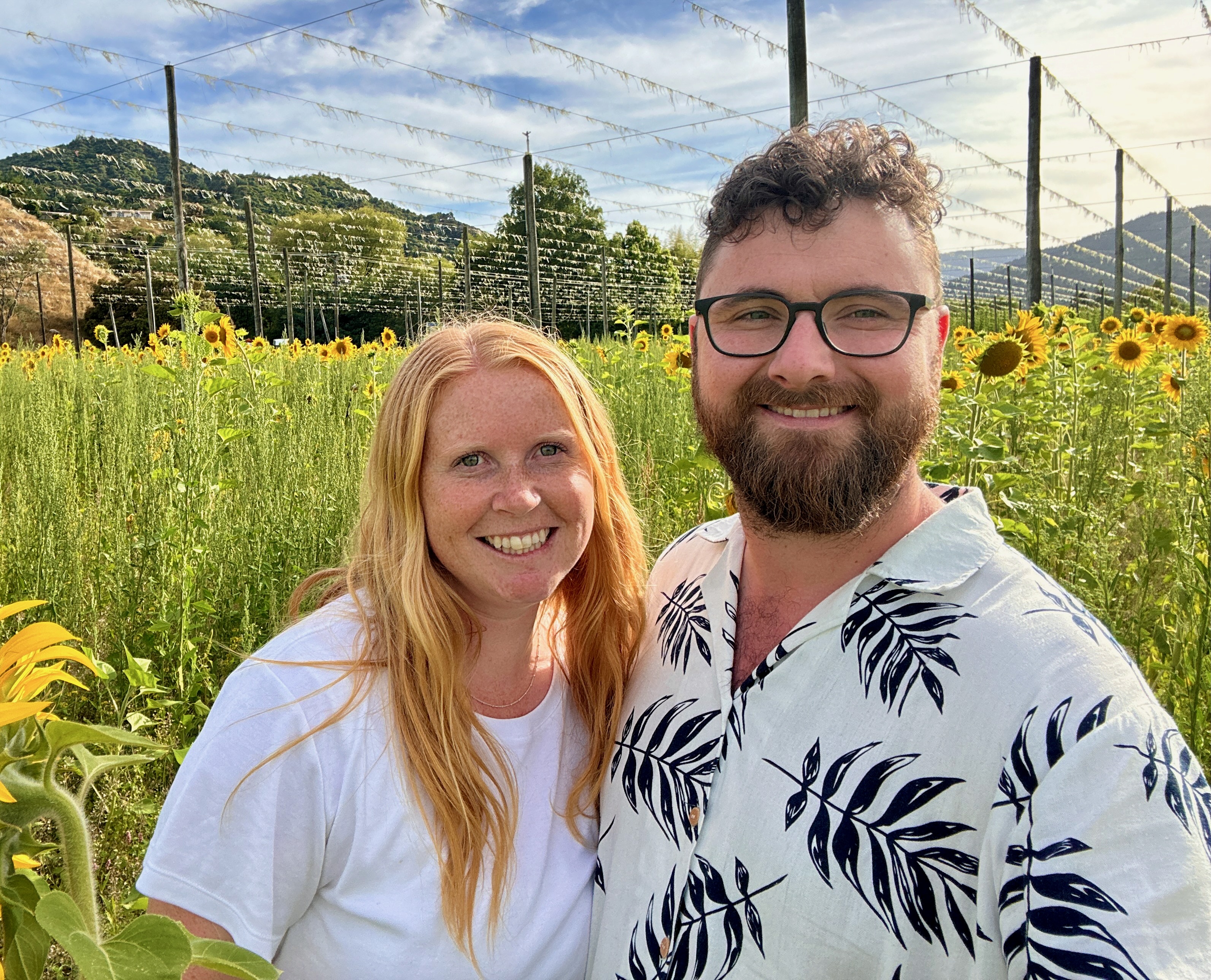 lost in a sunflower field, somewhere good.